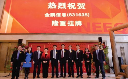 河南金鵬信息技術