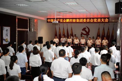 金鵬控股集團召開紀念建黨97周年暨換屆選舉大會