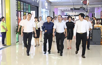 徐州市豐縣領導一行蒞臨金鵬控股集團考察調研，共話合作發展新機遇